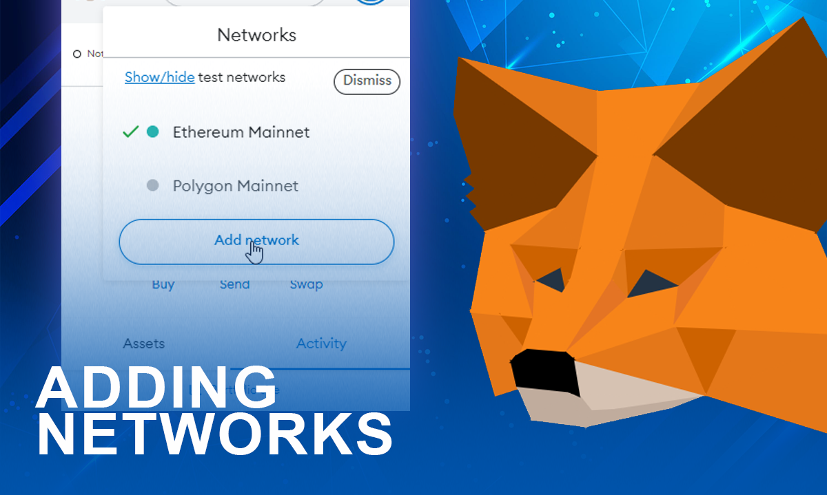 Metamask adding networks