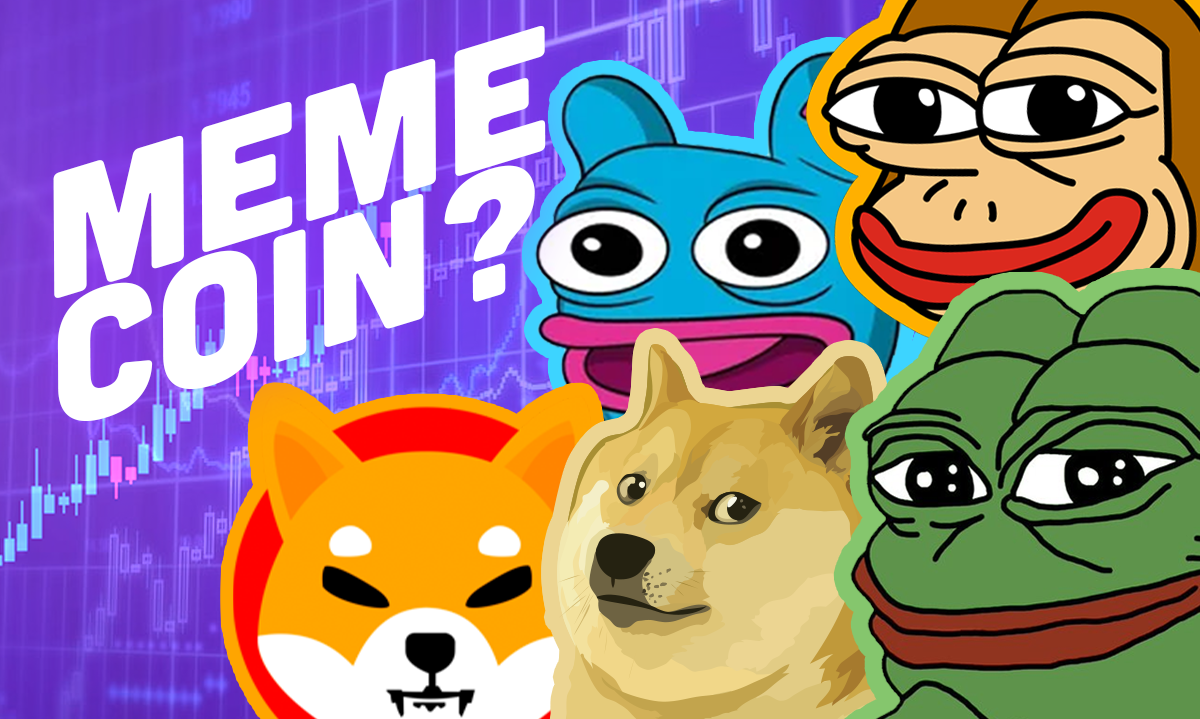 Different memecoins on different networks